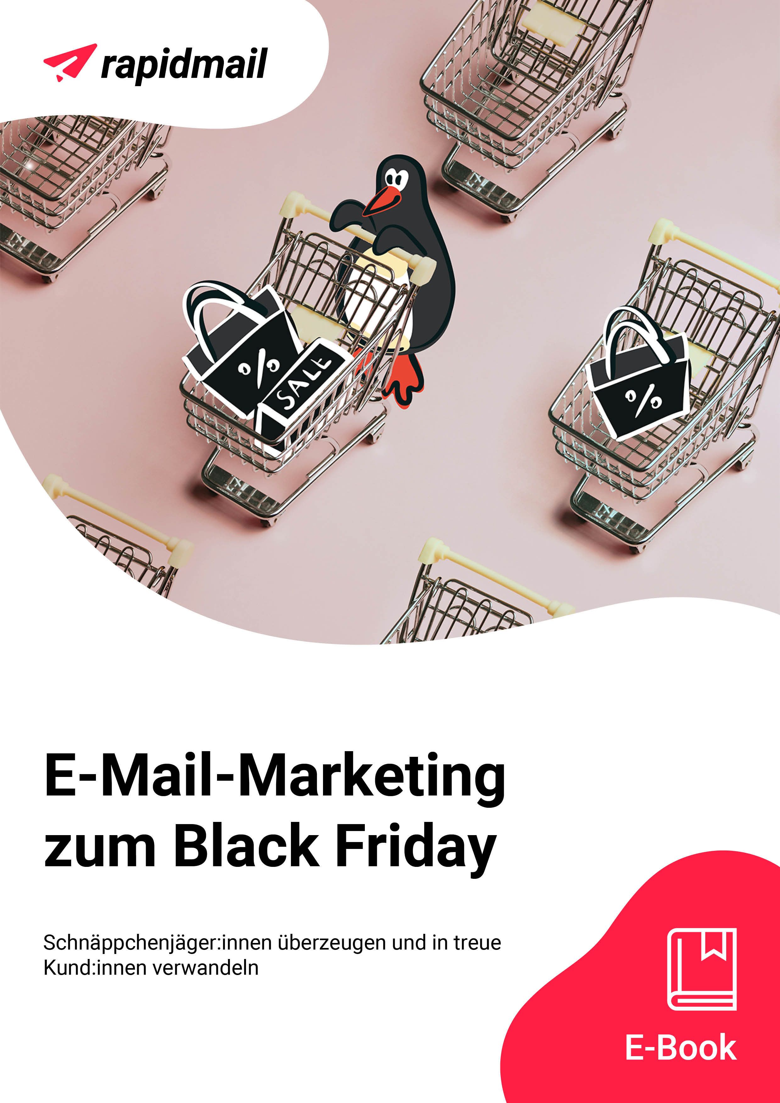 E-Book-Cover Black-Friday-E-Mail-Marketing